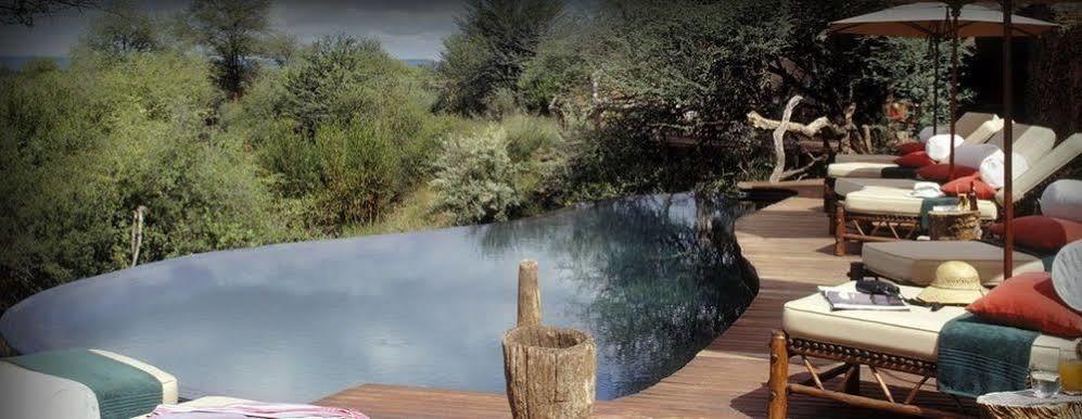 Sanctuary Makanyane Safari Lodge Madikwe Game Reserve Eksteriør bilde