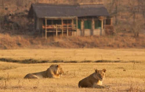 Sanctuary Makanyane Safari Lodge Madikwe Game Reserve Eksteriør bilde