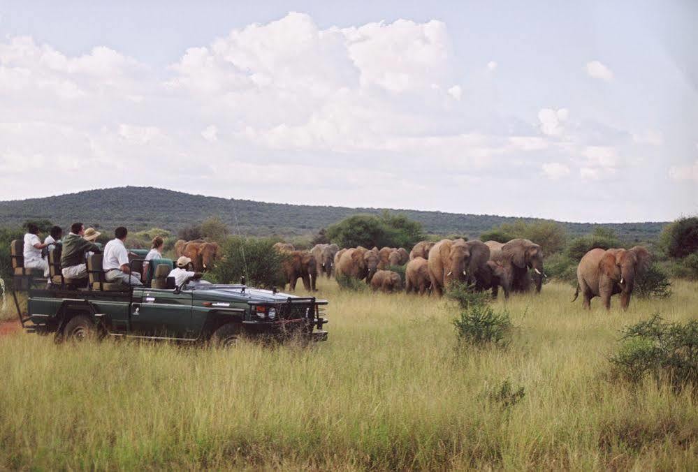 Sanctuary Makanyane Safari Lodge Madikwe Game Reserve Eksteriør bilde